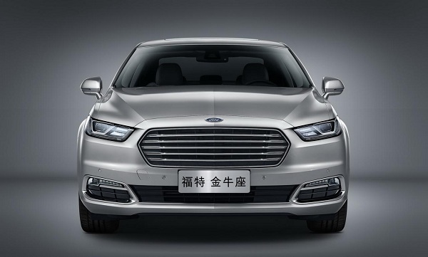 Taurus taurus china