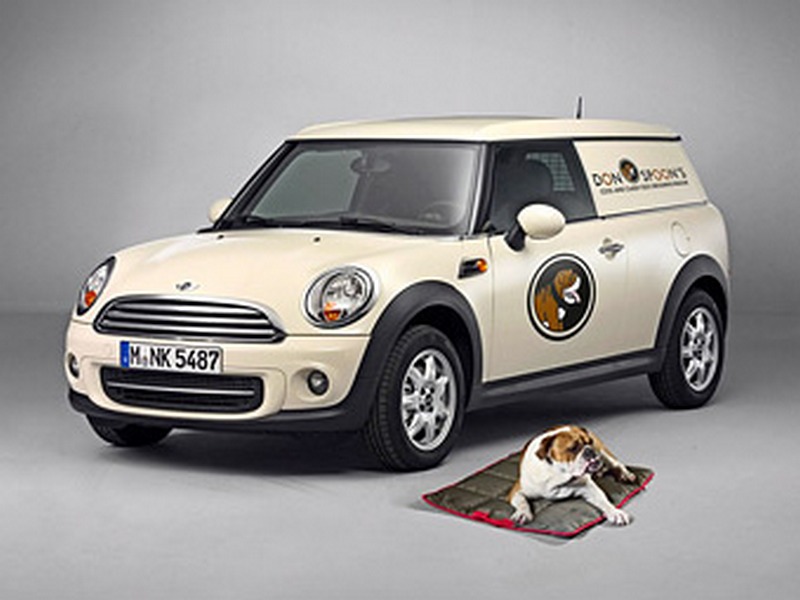 MINI MINI.jpeg